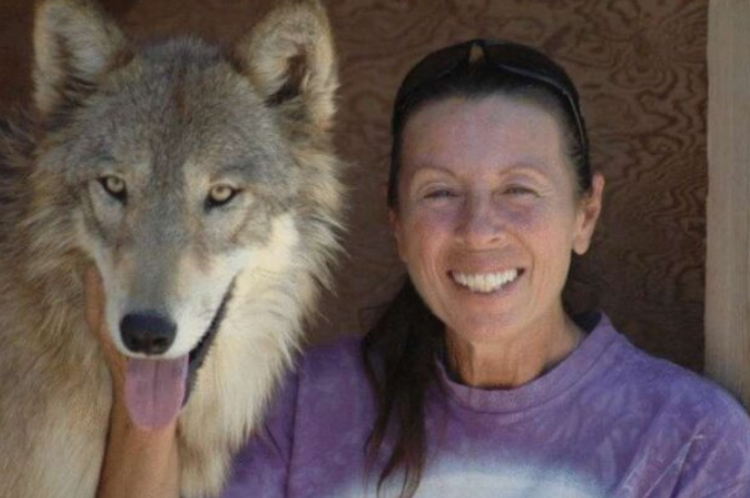 A woman rescued three wolf pups. Now they have become proud adult animals